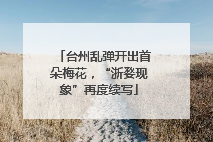 台州乱弹开出首朵梅花，“浙婺现象”再度续写