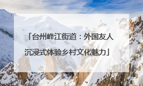 台州峰江街道：外国友人沉浸式体验乡村文化魅力