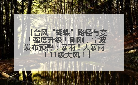 台风“蝴蝶”路径有变！强度升级！刚刚，宁波发布预警：暴雨！大暴雨！11级大风！