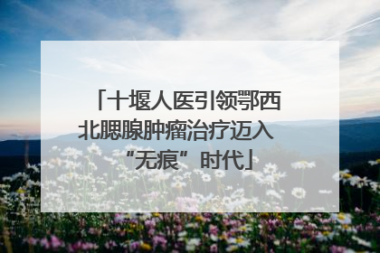十堰人医引领鄂西北腮腺肿瘤治疗迈入“无痕”时代