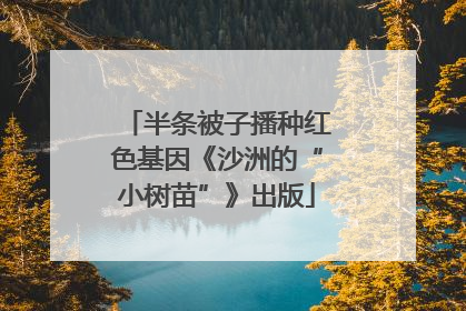 半条被子播种红色基因《沙洲的“小树苗”》出版