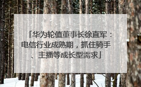 华为轮值董事长徐直军：电信行业成熟期，抓住骑手、主播等成长型需求