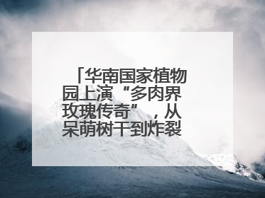 华南国家植物园上演“多肉界玫瑰传奇”，从呆萌树干到炸裂种子全是戏！