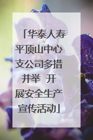 华泰人寿平顶山中心支公司多措并举  开展安全生产宣传活动