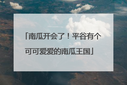 南瓜开会了！平谷有个可可爱爱的南瓜王国