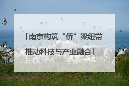 南京构筑“侨”梁纽带推动科技与产业融合