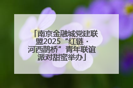 南京金融城党建联盟2025“红链・河西鹊桥”青年联谊派对甜蜜举办
