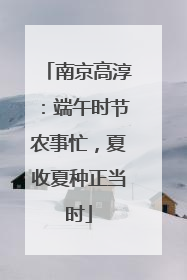 南京高淳：端午时节农事忙，夏收夏种正当时