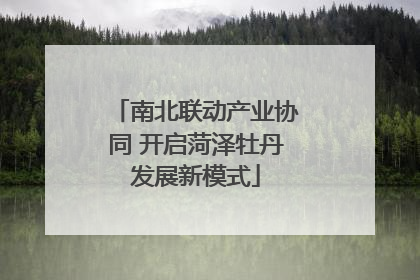 南北联动产业协同 开启菏泽牡丹发展新模式
