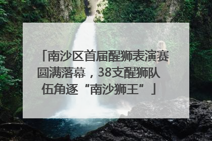 南沙区首届醒狮表演赛圆满落幕，38支醒狮队伍角逐“南沙狮王”
