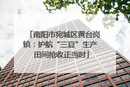 南阳市宛城区黄台岗镇：护航“三夏”生产 田间抢收正当时