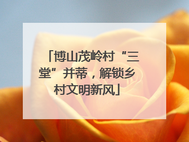 博山茂岭村“三堂”并蒂，解锁乡村文明新风