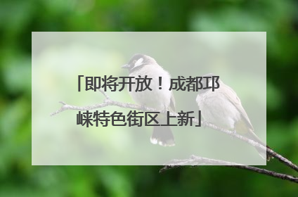 即将开放！成都邛崃特色街区上新