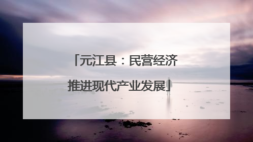 元江县：民营经济推进现代产业发展