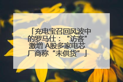 充电宝召回风波中的罗马仕：“访客”激增 A股多家电芯厂商称“未供货”