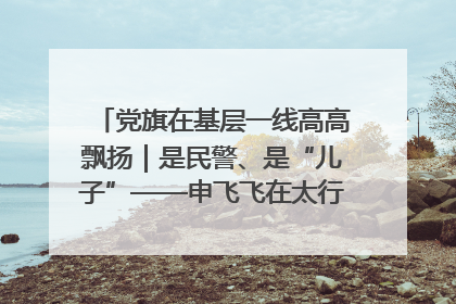 党旗在基层一线高高飘扬｜是民警、是“儿子”——申飞飞在太行山中的一线坚守