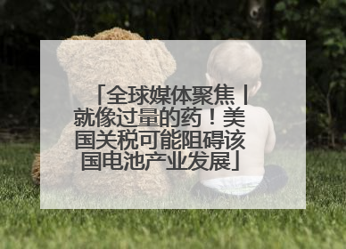 全球媒体聚焦丨就像过量的药！美国关税可能阻碍该国电池产业发展
