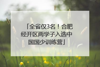 全省仅3名！合肥经开区两学子入选中国国少训练营