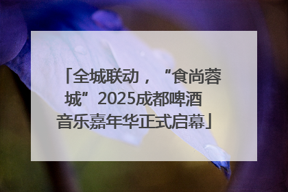 全城联动，“食尚蓉城”2025成都啤酒音乐嘉年华正式启幕