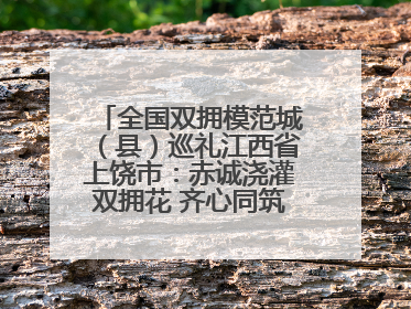 全国双拥模范城（县）巡礼江西省上饶市：赤诚浇灌双拥花 齐心同筑模范城