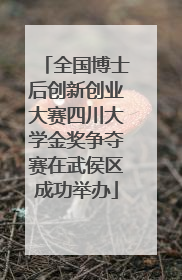 全国博士后创新创业大赛四川大学金奖争夺赛在武侯区成功举办