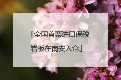 全国首票进口保税岩板在南安入仓