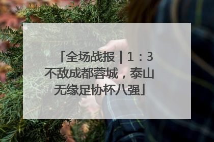 全场战报｜1：3不敌成都蓉城，泰山无缘足协杯八强