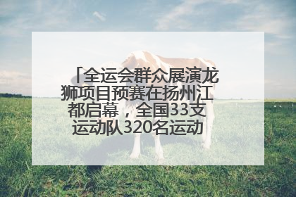 全运会群众展演龙狮项目预赛在扬州江都启幕，全国33支运动队320名运动员“龙争狮斗”