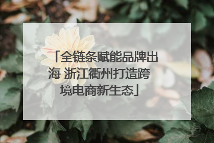 全链条赋能品牌出海 浙江衢州打造跨境电商新生态