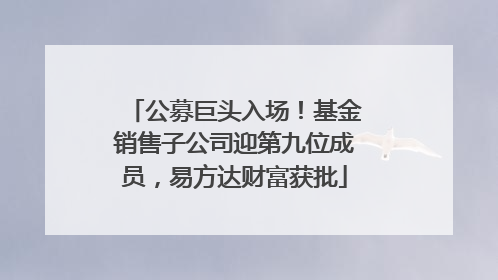 公募巨头入场！基金销售子公司迎第九位成员，易方达财富获批