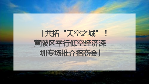 共拓“天空之城”！黄陂区举行低空经济深圳专场推介招商会