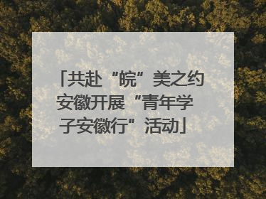共赴“皖”美之约 安徽开展“青年学子安徽行”活动