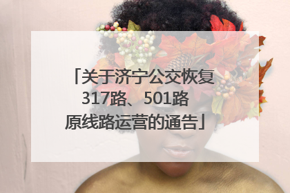 关于济宁公交恢复317路、501路原线路运营的通告