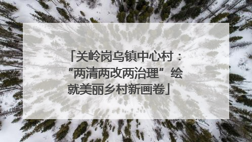 关岭岗乌镇中心村：“两清两改两治理”绘就美丽乡村新画卷