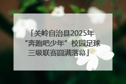 关岭自治县2025年“奔跑吧少年”校园足球三级联赛圆满落幕