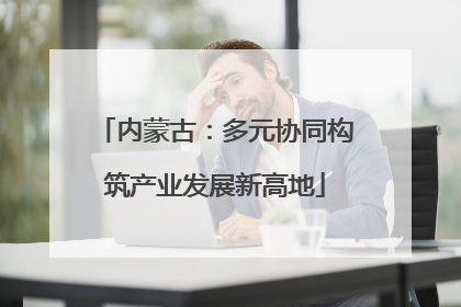 内蒙古：多元协同构筑产业发展新高地