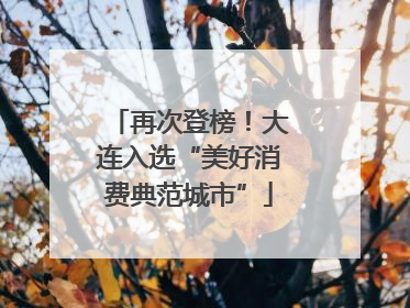 再次登榜！大连入选“美好消费典范城市”