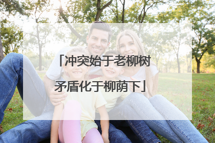 冲突始于老柳树 矛盾化于柳荫下