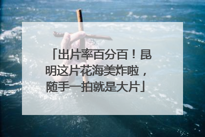 出片率百分百！昆明这片花海美炸啦，随手一拍就是大片