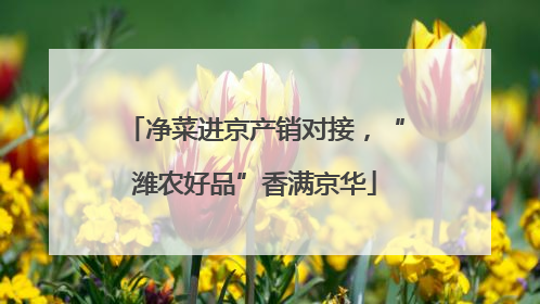 净菜进京产销对接，“潍农好品”香满京华