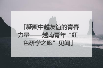 凝聚中越友谊的青春力量——越南青年“红色研学之旅”见闻