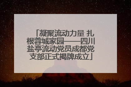 凝聚流动力量 扎根蓉城家园——四川盐亭流动党员成都党支部正式揭牌成立
