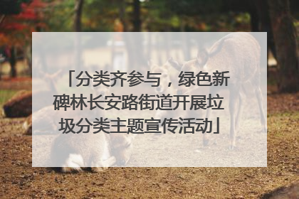 分类齐参与，绿色新碑林长安路街道开展垃圾分类主题宣传活动
