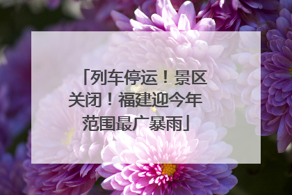 列车停运！景区关闭！福建迎今年范围最广暴雨