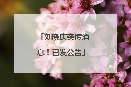 刘晓庆突传消息！已发公告
