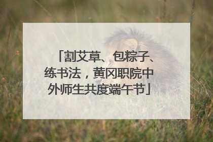 割艾草、包粽子、练书法，黄冈职院中外师生共度端午节