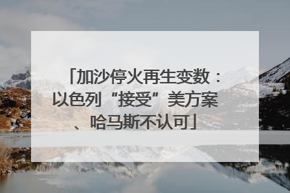 加沙停火再生变数：以色列“接受”美方案、哈马斯不认可