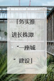 务实推进长株潭“一座城”建设