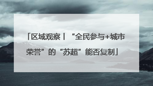 区域观察丨“全民参与+城市荣誉”的“苏超”能否复制