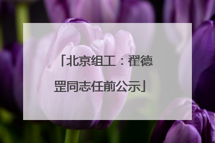 北京组工：翟德罡同志任前公示